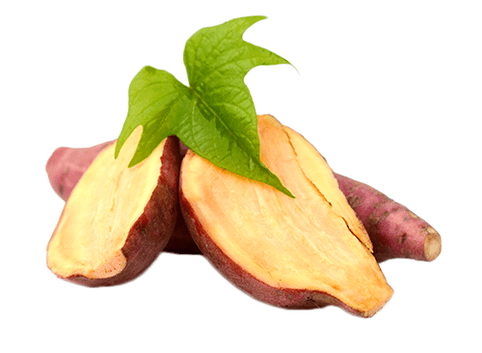 Korzeń Yacon w Reduslim