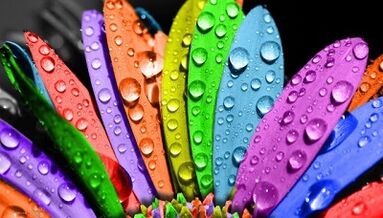 jak schudnąć na diecie 6 płatków